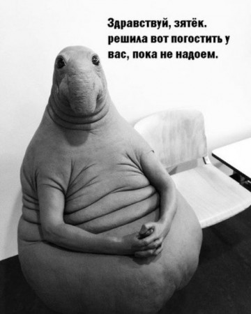 Позитивный Ждун