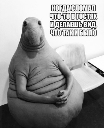 Позитивный Ждун