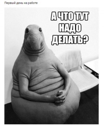 Позитивный Ждун