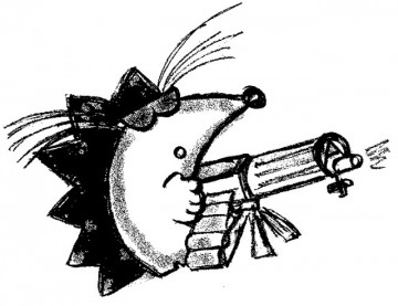 Записки Боевого Ежа