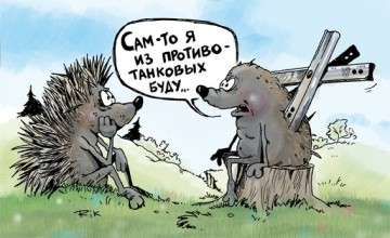 Записки Боевого Ежа