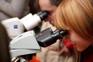 Владимир Путин подписал указ о поощрении молодых ученых