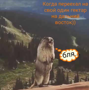 Когда переехал на свой один гектар на дальний восток