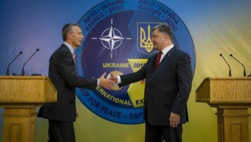 Украинцы представили, что вляпались в НАТО: результат всполошил всех