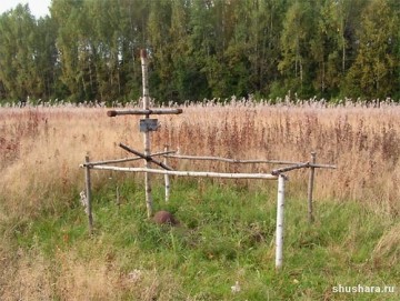 Старший леший