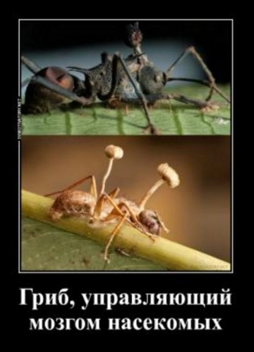 Ты - цэ нэ тэ, як ты балакаеш... Твоя сущность - это образы речи, которыми ты мыслишь