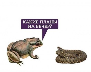 Тягнибок и Билецкий между собой не договорятся. Руслан Бортник