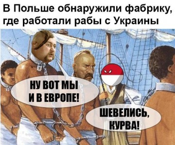 "Мыздобулы" в картинках. Смешных и не очень... 23-02-2017