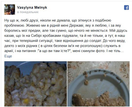 Меню без изменений: "лучшую армию Европы" продолжают кормить червями  