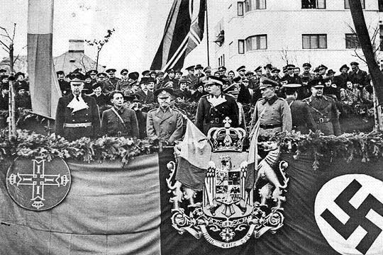 Украина über alles! Юлия Витязева