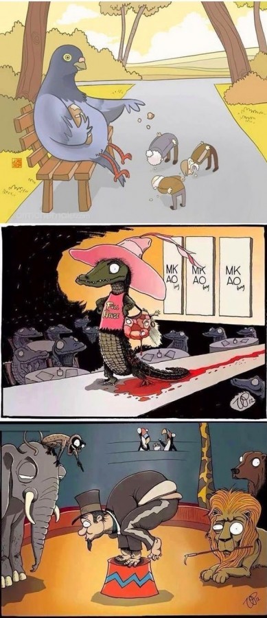 А что, если бы животные относились к нам так же, как мы к ним? А что, если бы животные относились к нам так же, как мы к ним?