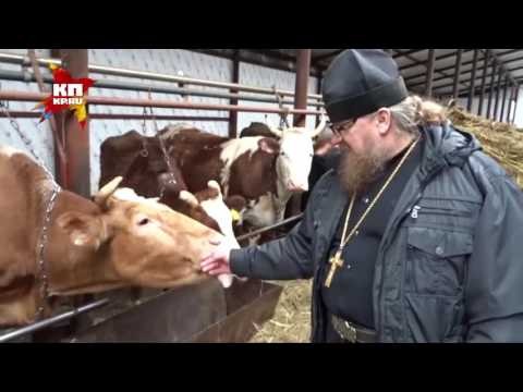 Православный «колхоз»: с молитвой на покос