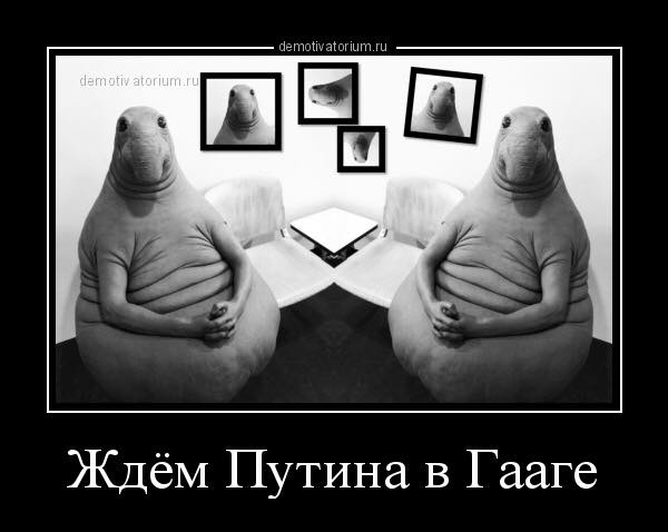 Гаагская зрада на ночь