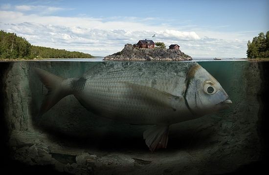 Украинский кризис глазами грека