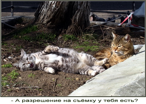 Всех с весной! Всех с весной!