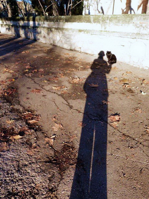 Всех с весной! Всех с весной!