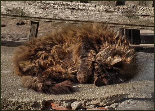 Всех с весной! Всех с весной!