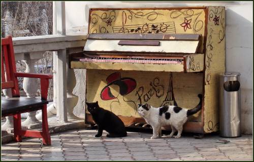 Всех с весной! Всех с весной!