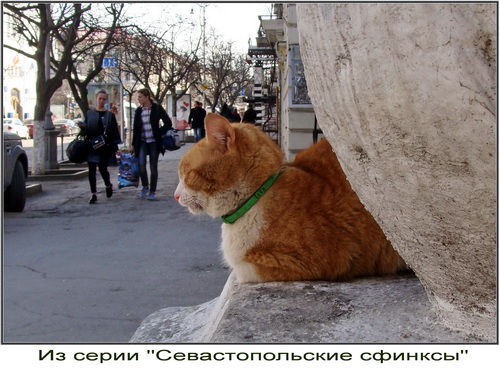 Всех с весной! Всех с весной!