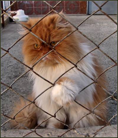 Всех с весной! Всех с весной!