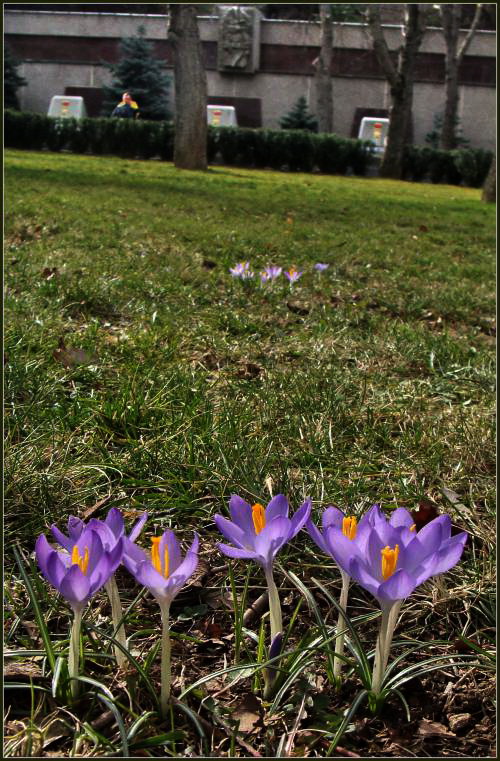 Всех с весной! Всех с весной!