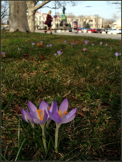 Всех с весной! Всех с весной!