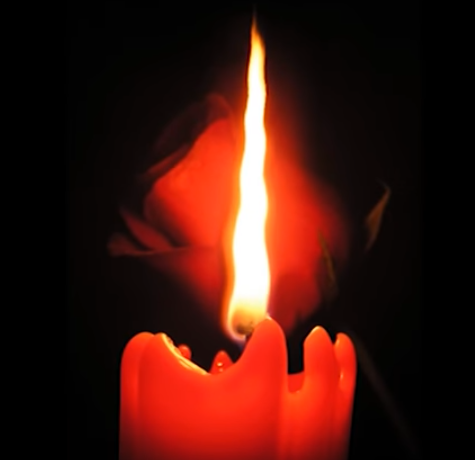 Ольга Дубова - Реквием по погибшим в Новороссии