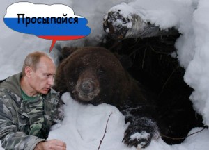 Имперский медведь никогда не станет зайкой