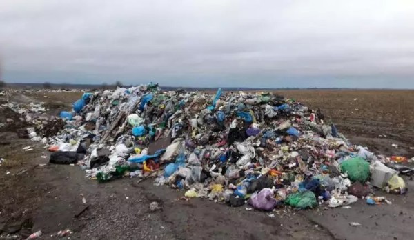 Мусорный анабазис трывае или «Львовские летучие голландцы»