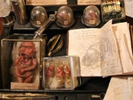 В подвале жилого дома в Лондоне найдены тела неизвестных науке существ