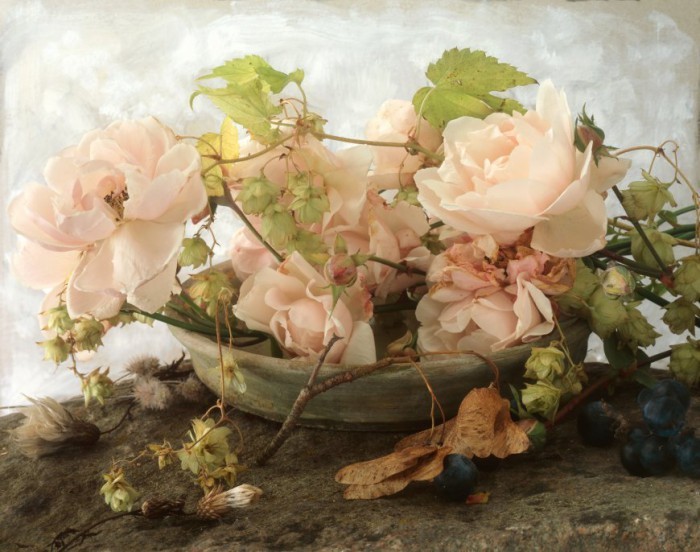 Натюрморты François Gillet