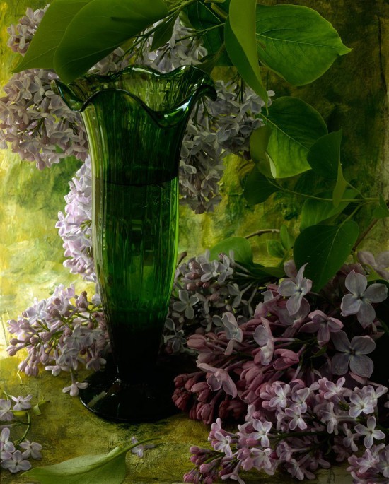 Натюрморты François Gillet