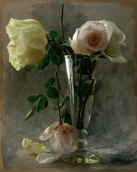 Натюрморты François Gillet