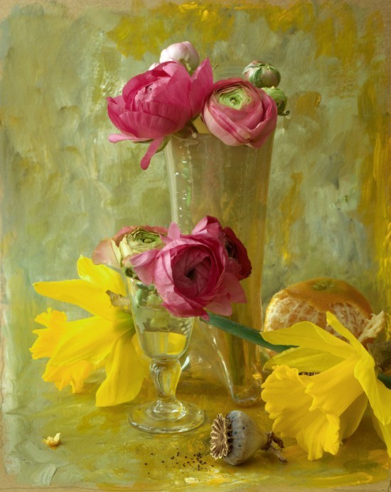 Натюрморты François Gillet