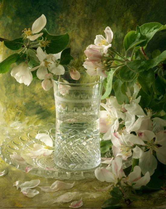 Натюрморты François Gillet