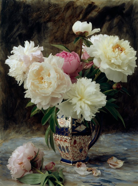 Натюрморты François Gillet