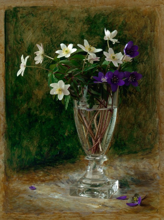 Натюрморты François Gillet