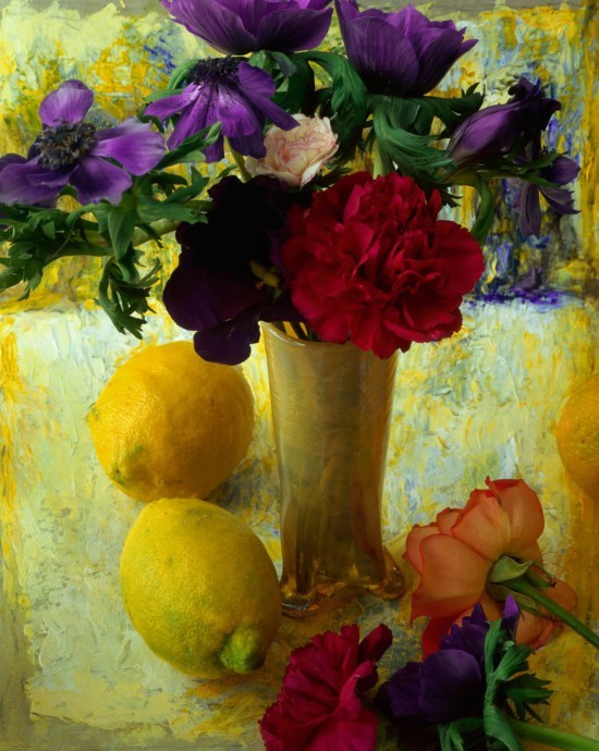 Натюрморты François Gillet