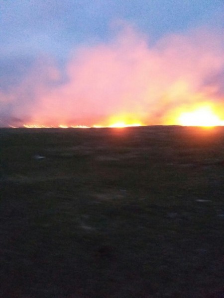 Настоящие украинские пожарные - тушат только способом самовыгорания! Настоящие украинские пожарные - тушат только способом самовыгорания!