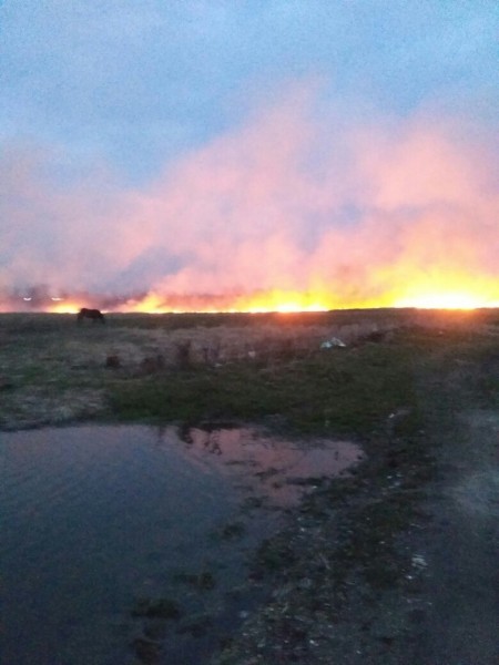 Настоящие украинские пожарные - тушат только способом самовыгорания! Настоящие украинские пожарные - тушат только способом самовыгорания!