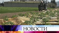 Сирийские фермеры начали посевные работы на полях под Алеппо