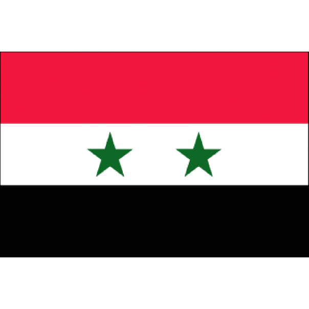 Как решается проблема терроризма? Сирия и Ирак прощаются с ДАИШ