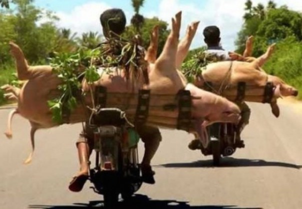 Ульяна Супрун создает клуб медиков-байкеров «Сыны Айболита»