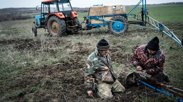 Земля из-под ног: как Украину лишают её главного достояния Земля из-под ног: как Украину лишают её главного достояния