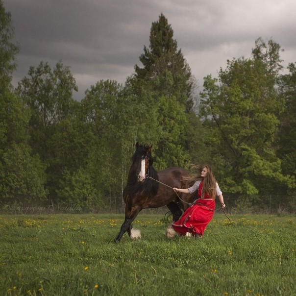 Поздравление от Главного. Владимир Путин поздравил женщин с 8 Марта Поздравление от Главного. Владимир Путин поздравил женщин с 8 Марта