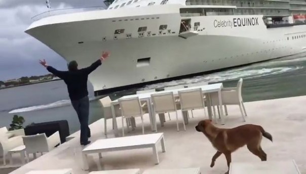 Семью американцев напугал лайнер, подплывший слишком близко к их дому