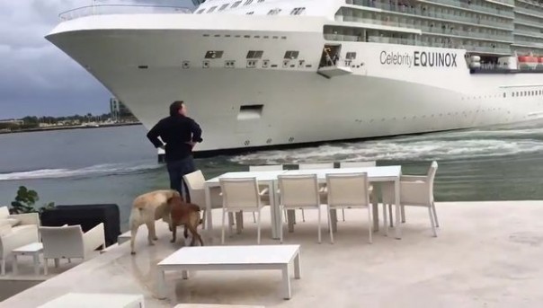 Семью американцев напугал лайнер, подплывший слишком близко к их дому Семью американцев напугал лайнер, подплывший слишком близко к их дому