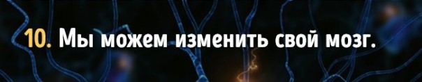 Факты о работе мозга, которые доказывают, что мы способны на все Факты о работе мозга, которые доказывают, что мы способны на все