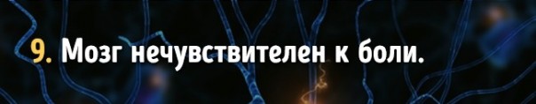 Факты о работе мозга, которые доказывают, что мы способны на все Факты о работе мозга, которые доказывают, что мы способны на все