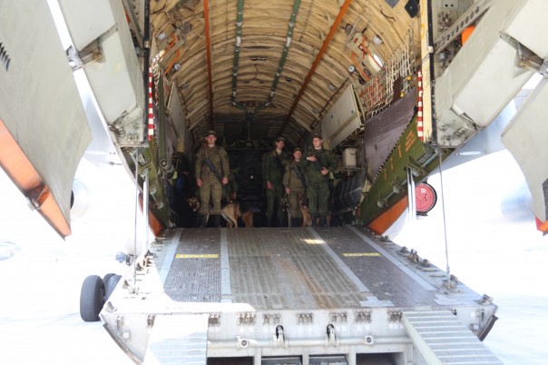 Пальмира без мин